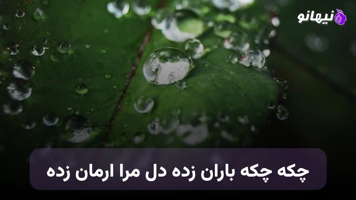 دانلود آهنگ چکه چکه باران زده دل مرا ارمان زده با صدای مرد 